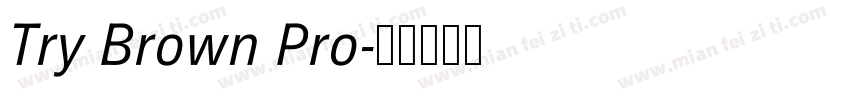 Try Brown Pro字体转换